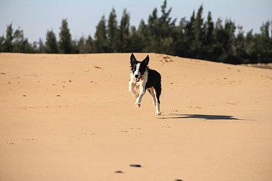 传《生化危机9》将很快公布 系列以来最具野心一作